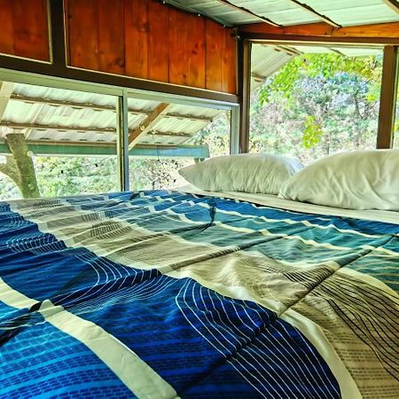 Cabana Treehouse Mountain View San Isidro  Exteriör bild