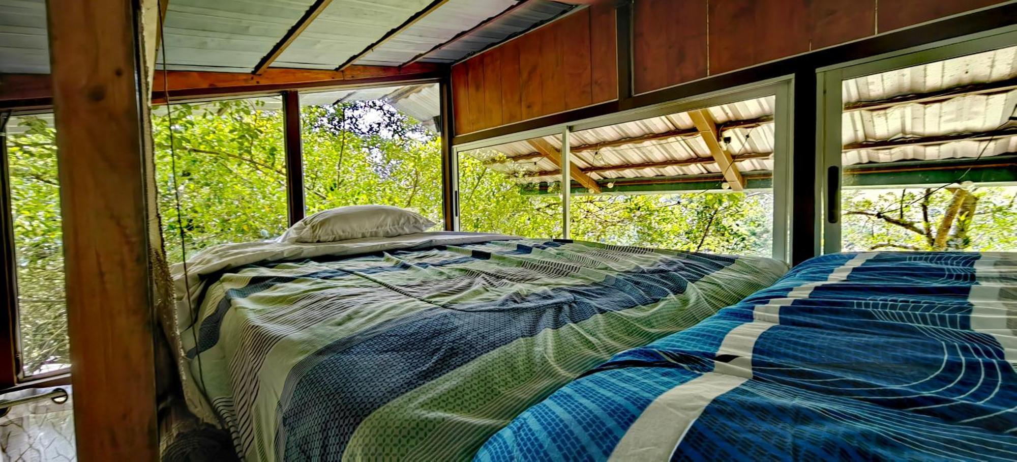 Cabana Treehouse Mountain View San Isidro  Exteriör bild