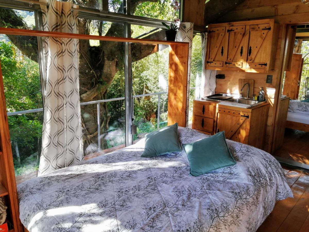 Cabana Treehouse Mountain View San Isidro  Exteriör bild